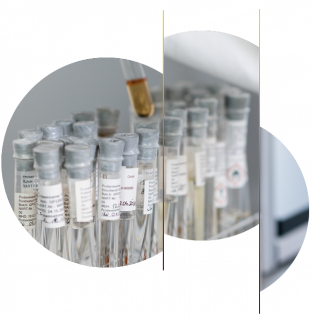 Genetic Analyses for Research