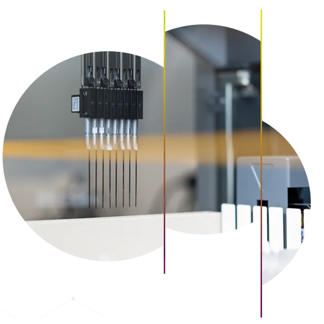 DNA analyses and logistics, reliably handled.
