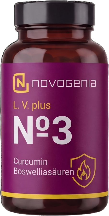 L. V. plus N&ordm; 3