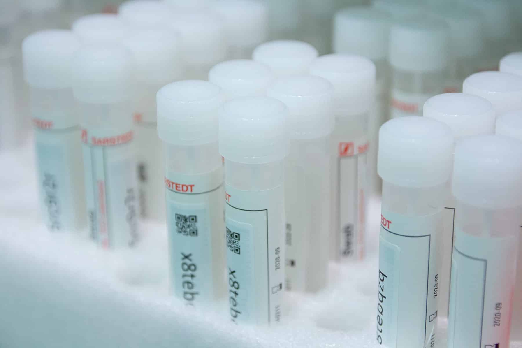Ablauf einer medizinischen Genanalyse