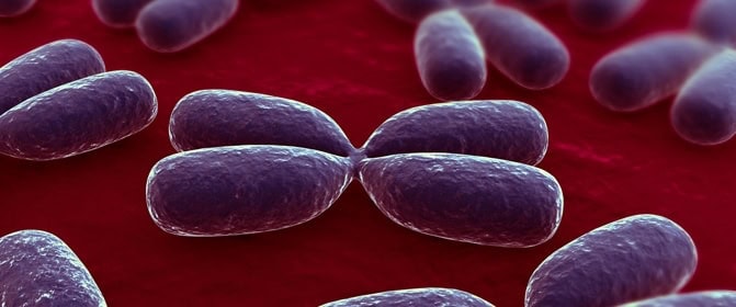 What are genes?