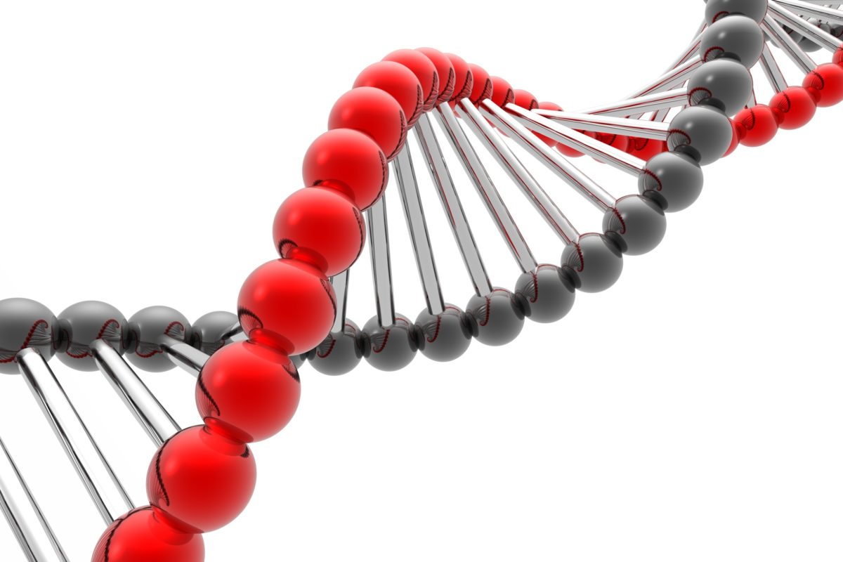 The selection of risk genes