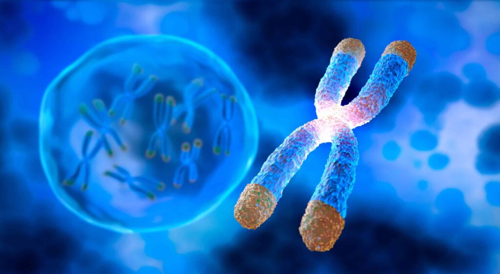 Biological age – more than just a number