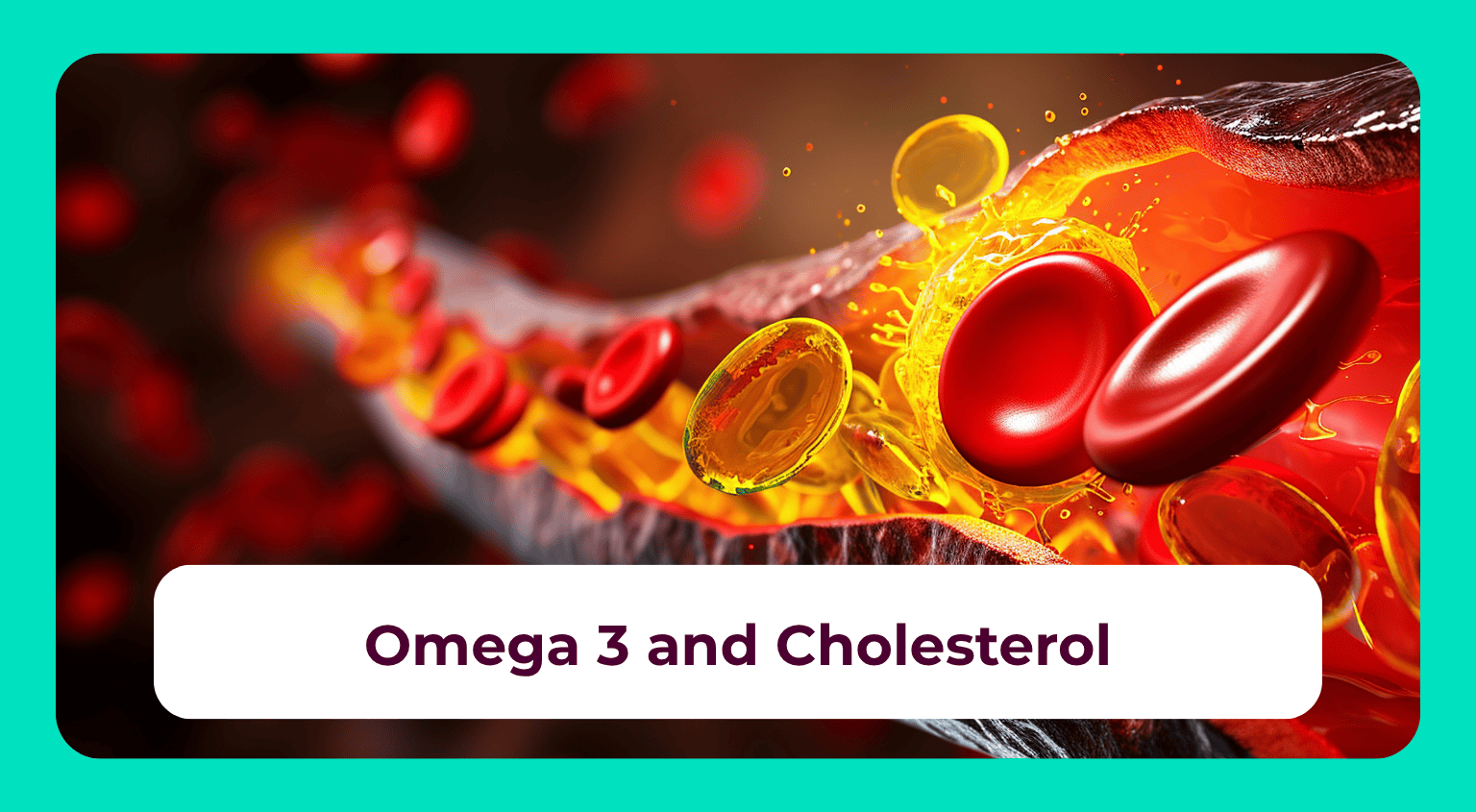 Omega 3: Benefits, effect on Cholesterol